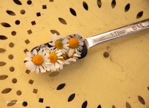 Tablespoon of chamomile