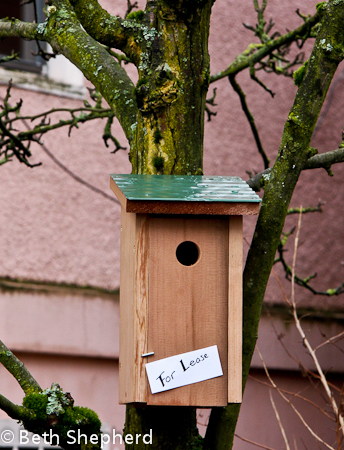 For lease birdhouse