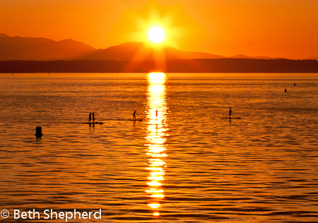 Paddleboarders on Puget Sound