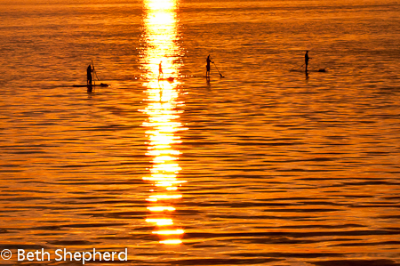 Paddleboarders at sunset