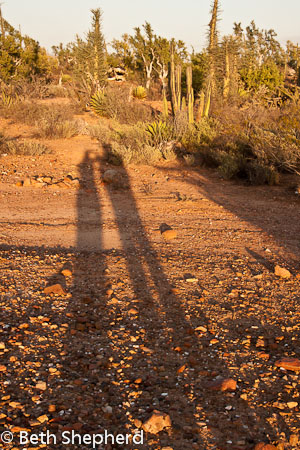 Baja desert shadows, Mexico