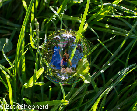Volunteer Park Beth in a bubble