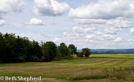 Gettysburg fields
