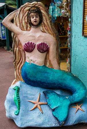 Hanalei mermaid 