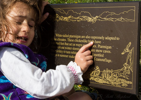 Signs along the Tundra Communities Trail