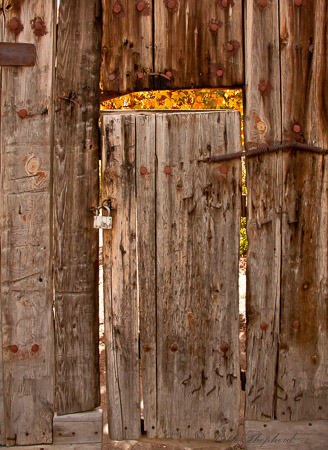 Wood door 