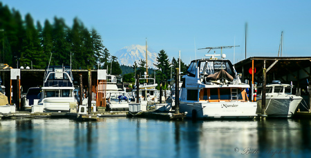 Gig Harbor boats