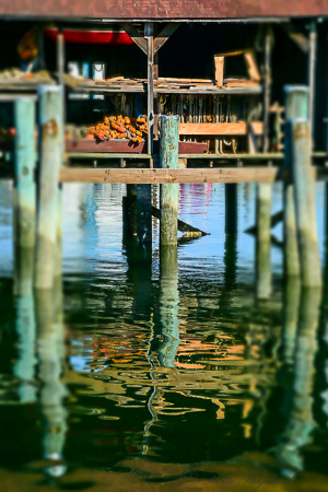 Net shed