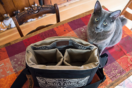 Wally and the Porteen Gear camera bag