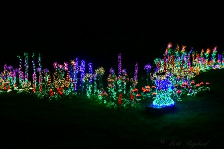 Garden d'Lights in Bellevue