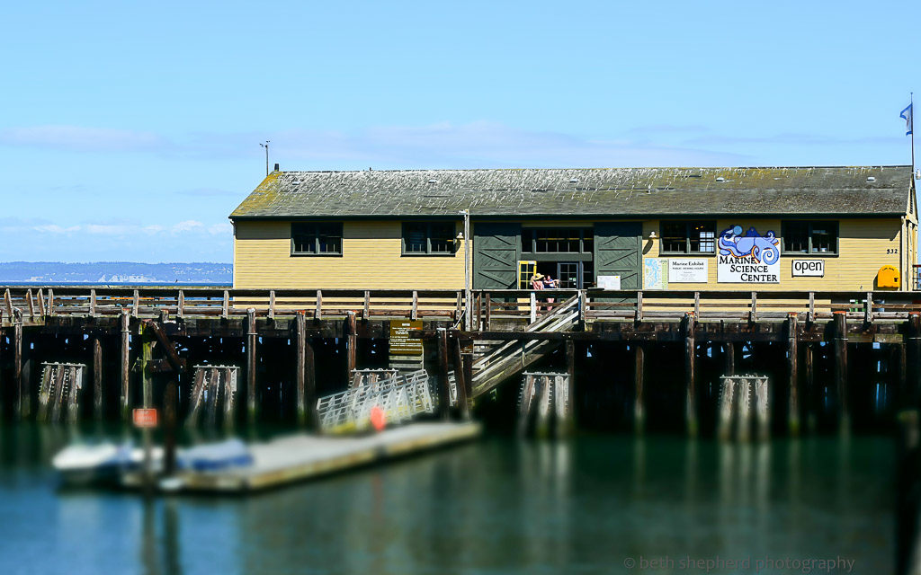 Port Townsend Marine Science Center