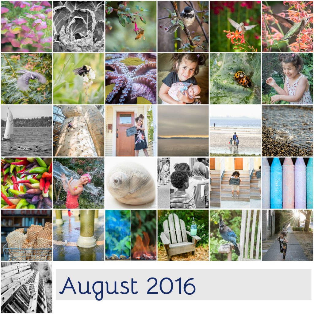 August 2016 photos