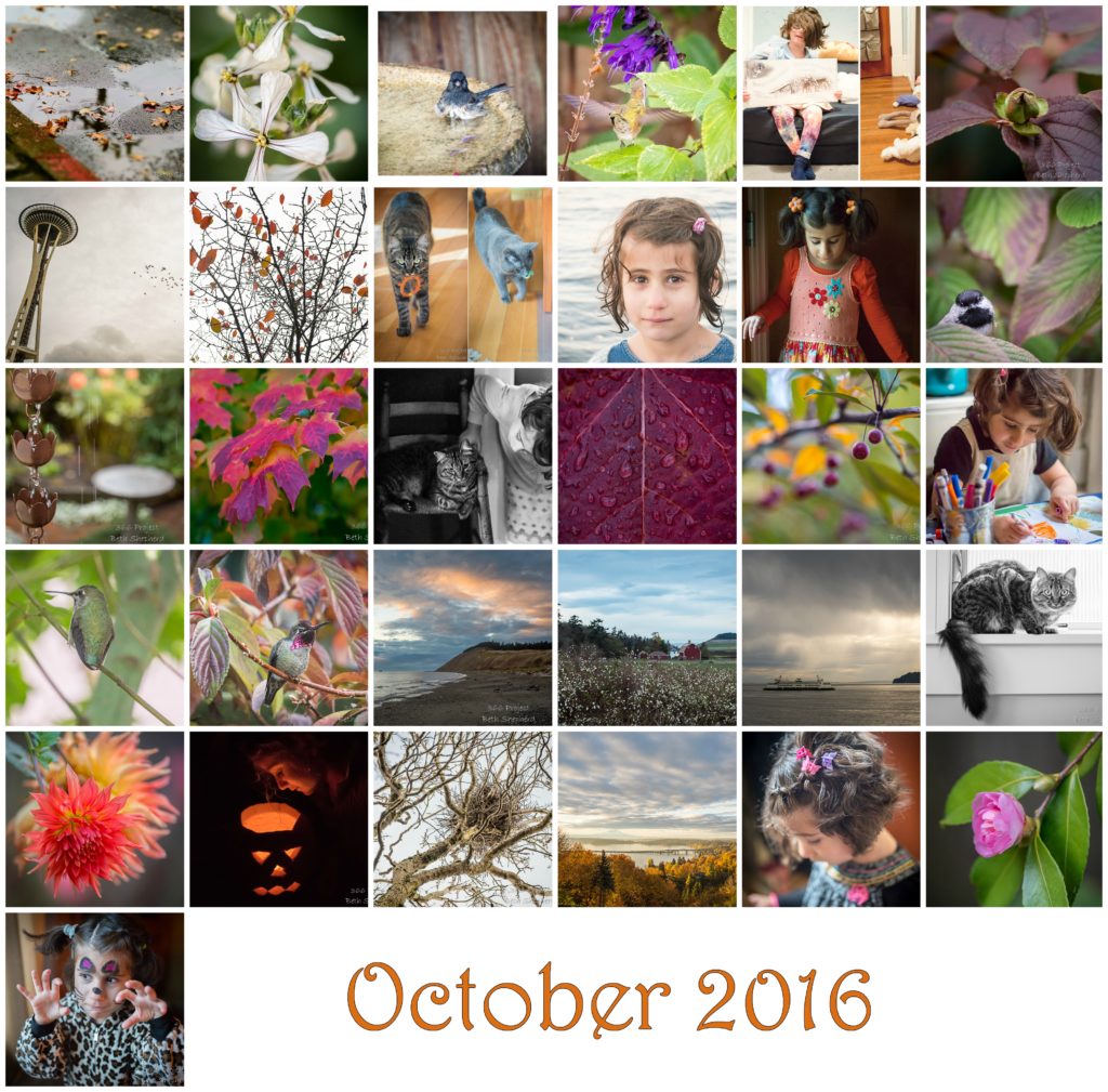 October photos