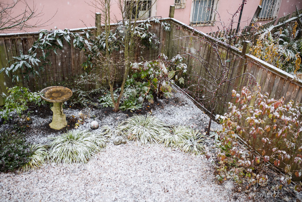 Snow in garden 2016